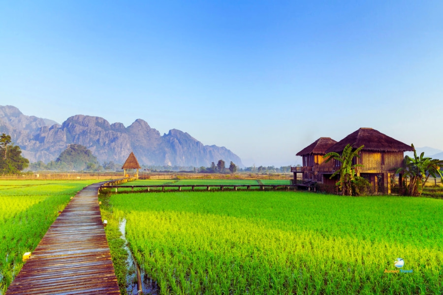 Green rice fields and wooden bridge in Vang Vieng Laos – Auasia Travel